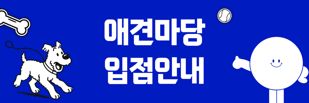 이벤트